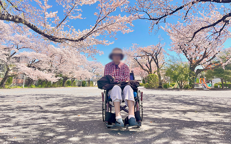 お花見に行って来ました