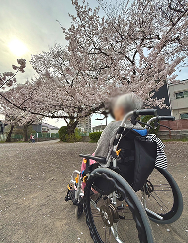 お花見に行って来ました